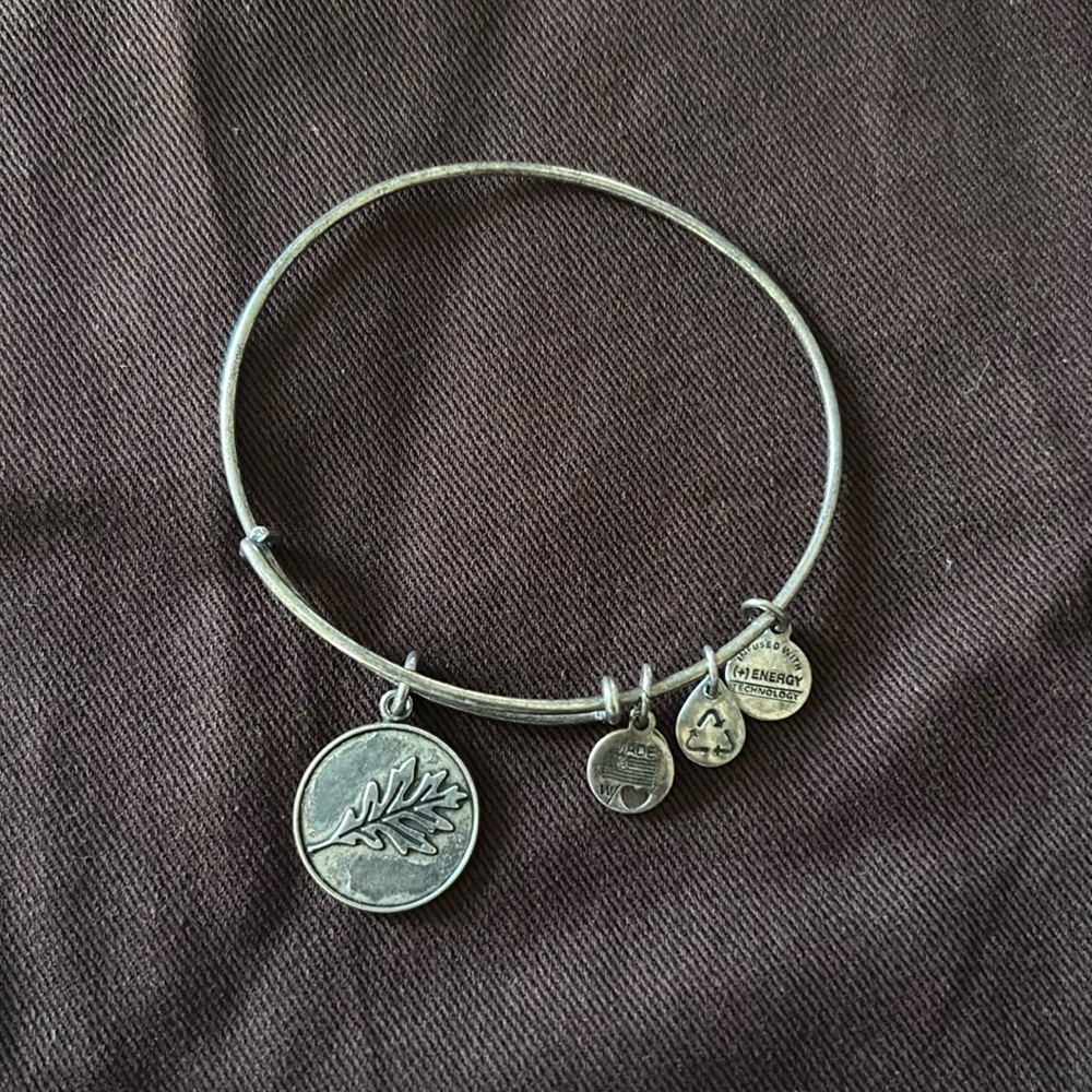 Alex and Ani bangle bracelet